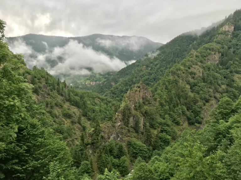              ORMAN DAVALARINDA YENİ DÜZENLEME